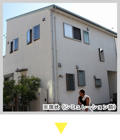 シミュレーション前